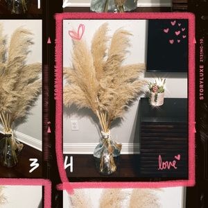 Real Dried Pampas Grass!